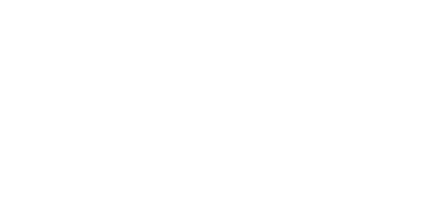 Connectia
